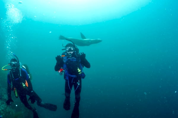 Brody Scuba Diving