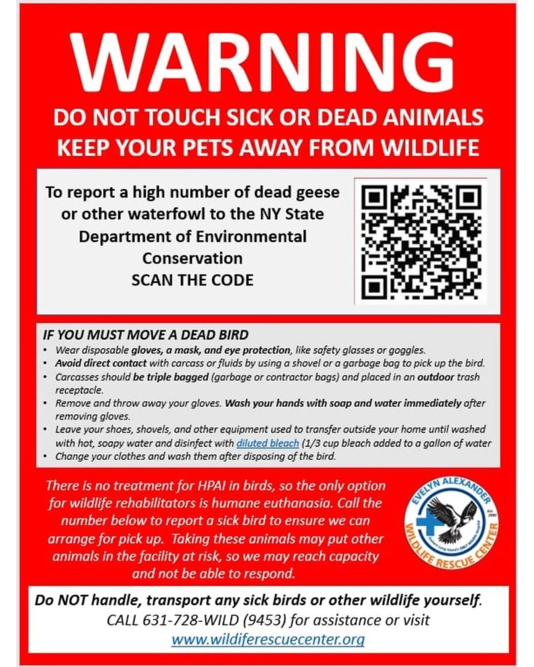 650694773_1340120858149303_8992490026822918724_n