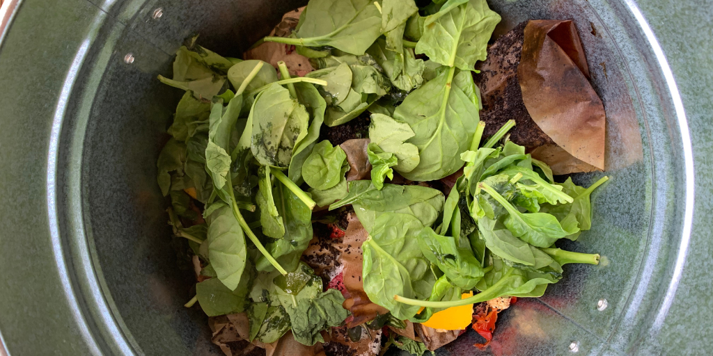 Compost bucket