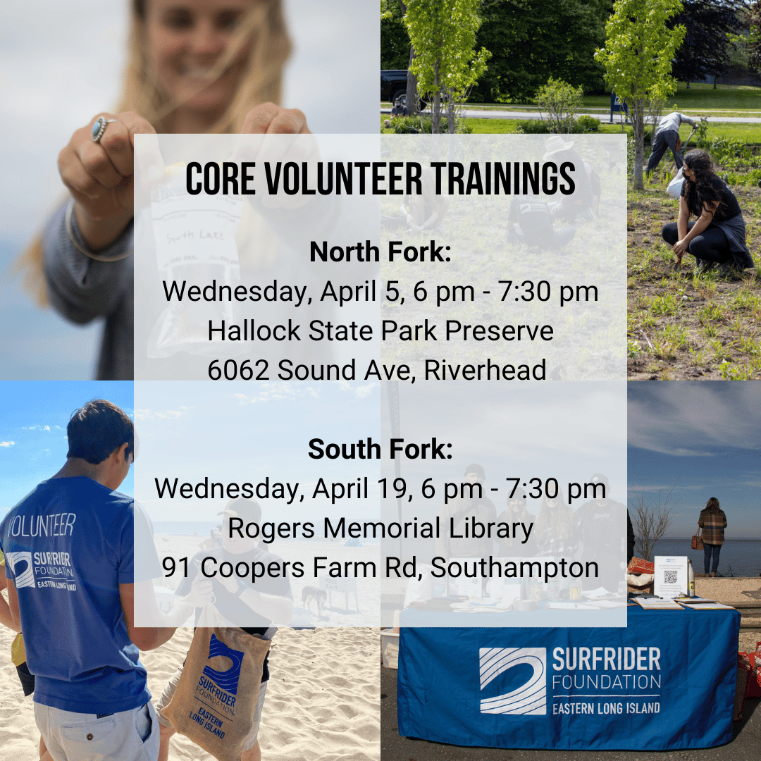 Core Volunteer 2023 Post - smaller