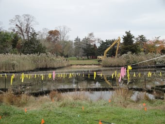 Habitat restoration on one end, removal of invasive plants on the other end. 