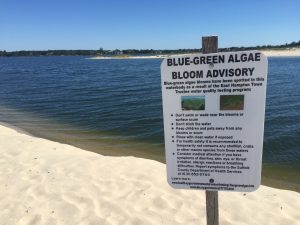 Georgica_BlueGreenSign