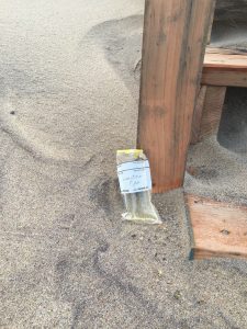 Water Sample from Surfside
