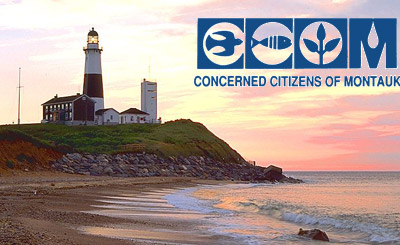 ccomlatest3 ccomlatest3