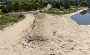 Maidstone Dune Grass_Front View_May 2026