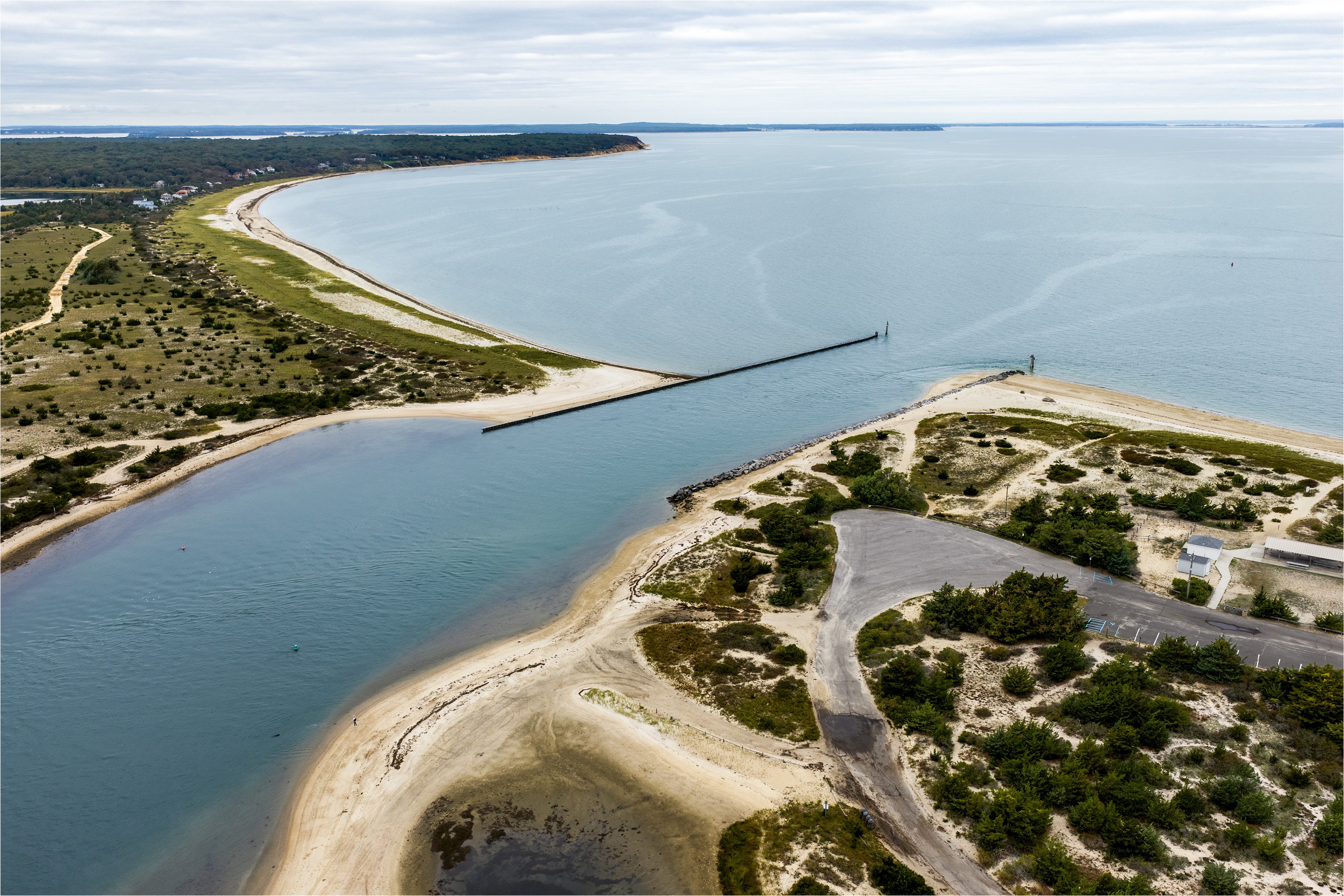 Maidstone Dune Grass_Full View_Sept 2026