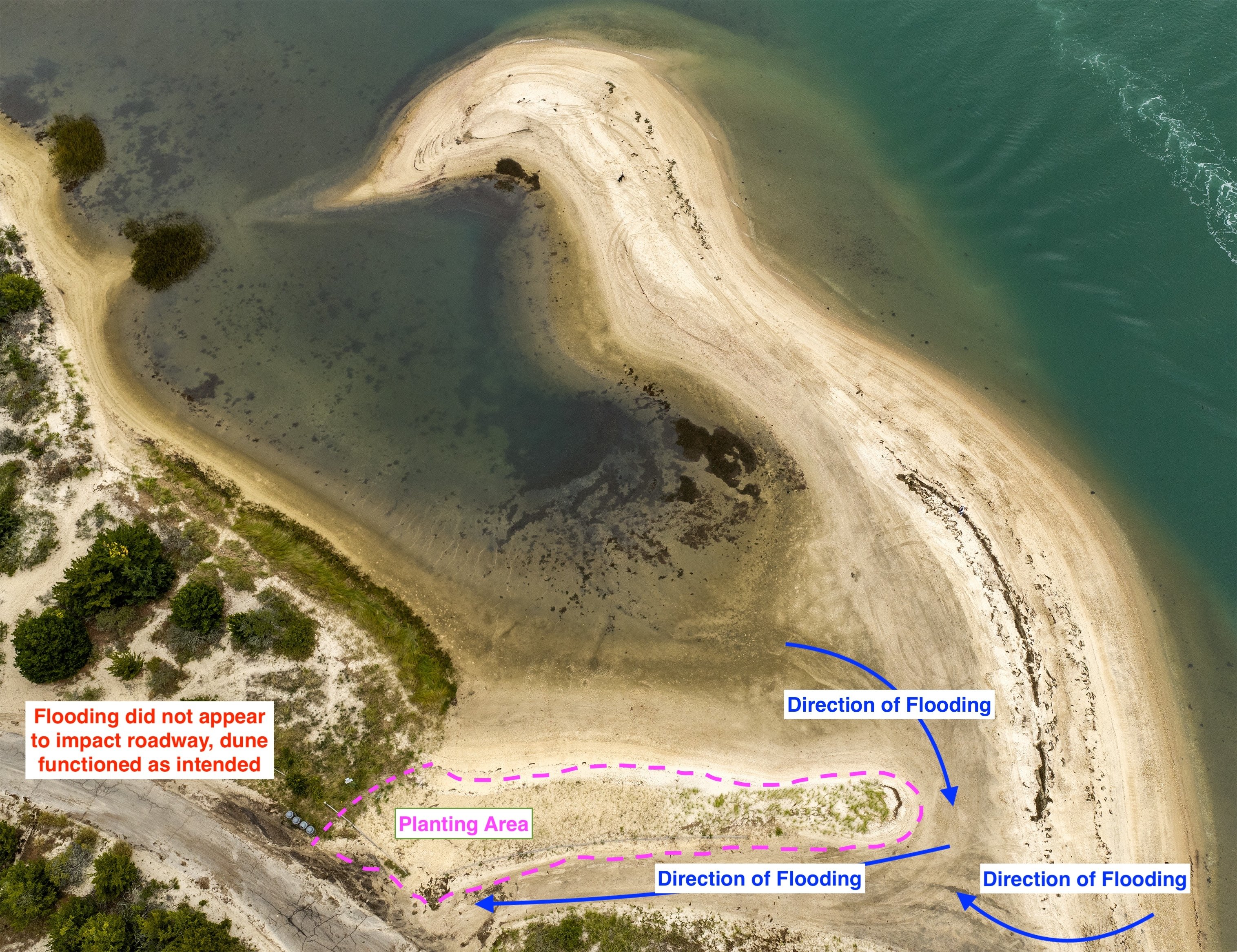 Maidstone Dune Grass_High Overhead_Sept 2026