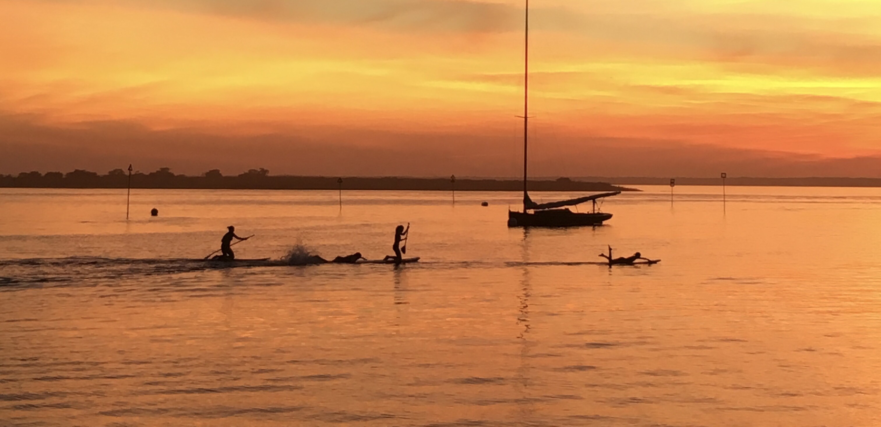 Prop2 Passed The Suffolk County Water Quality Restoration Fund