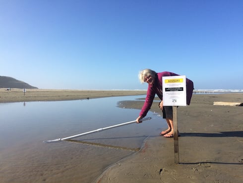 Newport Clean Beaches Now