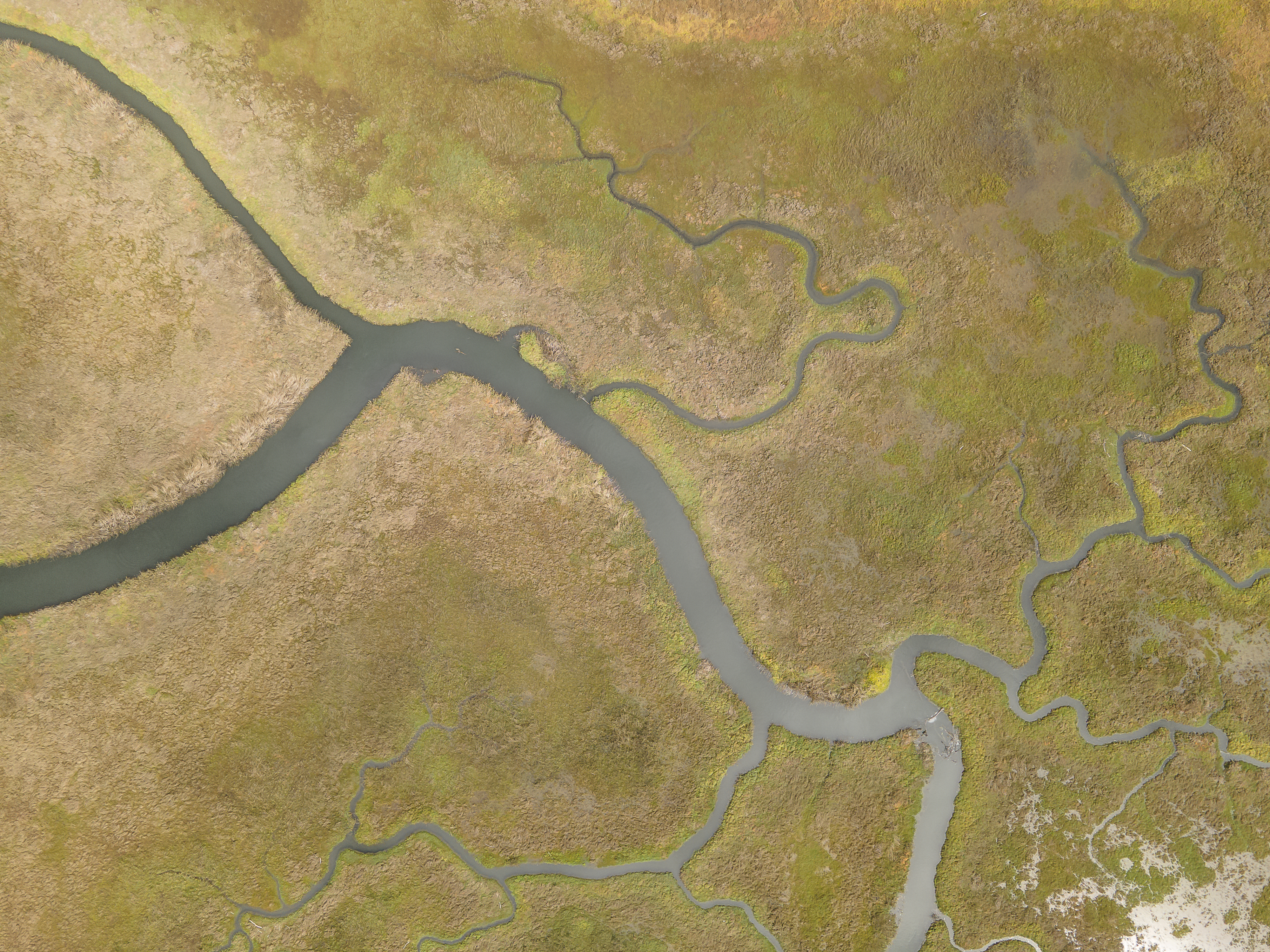 Establish a Border Water Quality Protection Unit in San Diego